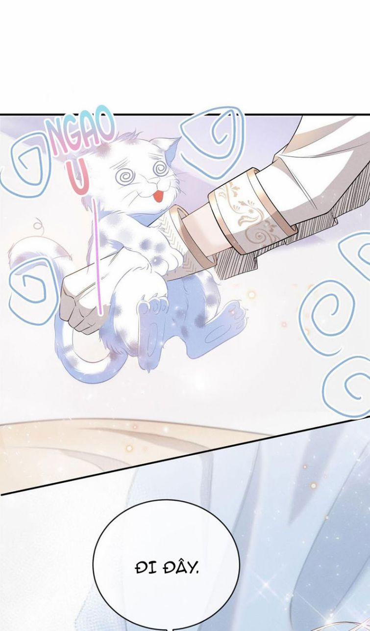 Người Dẫn Đường Có Phải Trùng Sinh Rồi Không 12 trang 7