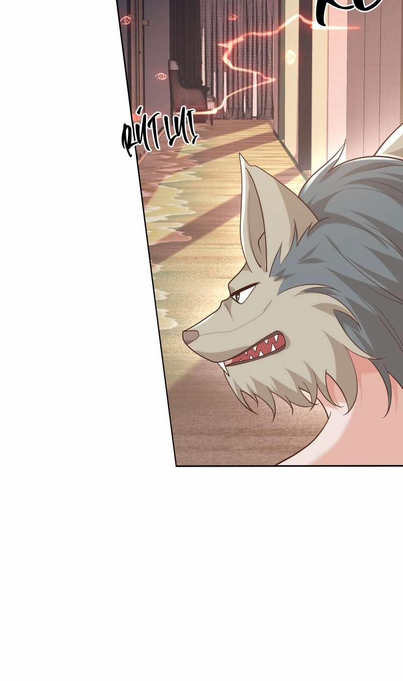 Người Dẫn Đường Có Phải Trùng Sinh Rồi Không 58 trang 21