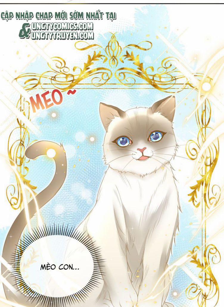 Người Dẫn Đường Có Phải Trùng Sinh Rồi Không 8 trang 37