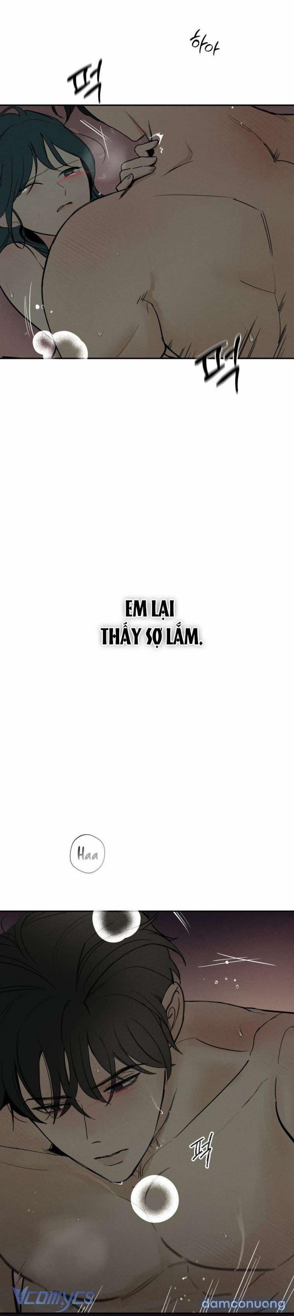 Người Đàn Ông Của Kẻ Khác 40 trang 13