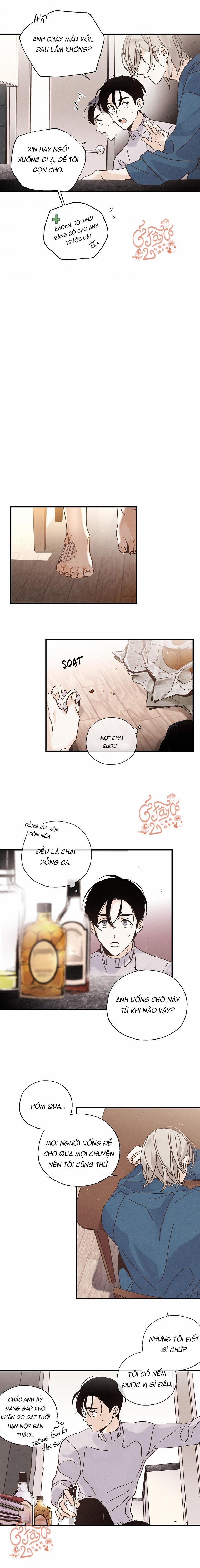 Người Đàn Ông Không Thể Nếm Thử 13 trang 7