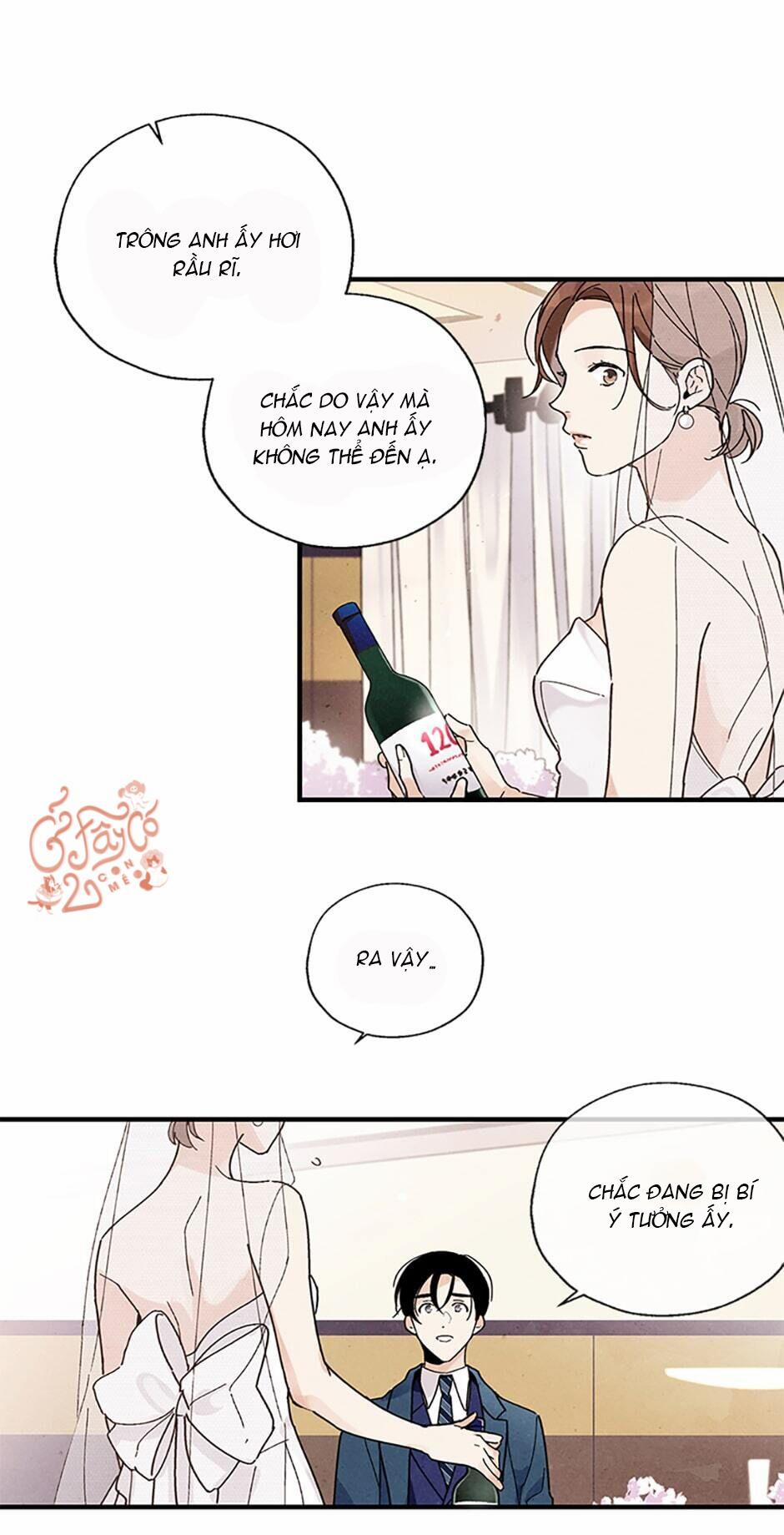 Người Đàn Ông Không Thể Nếm Thử 16 trang 13