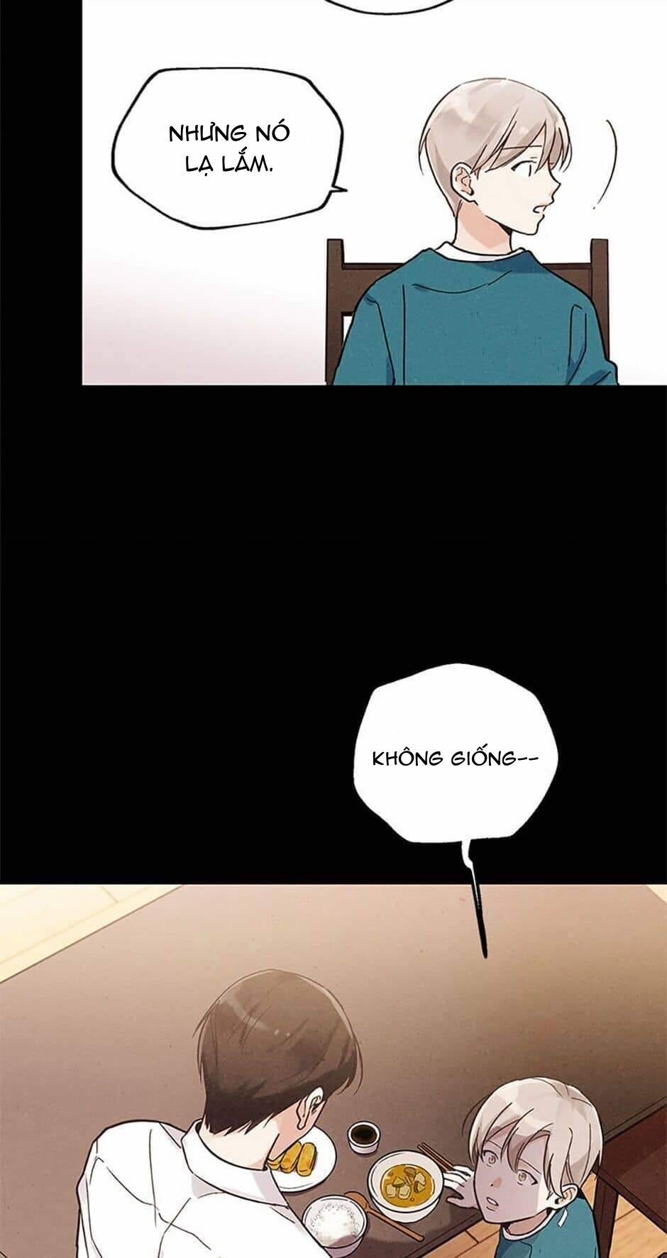 Người Đàn Ông Không Thể Nếm Thử 23 0 trang 18