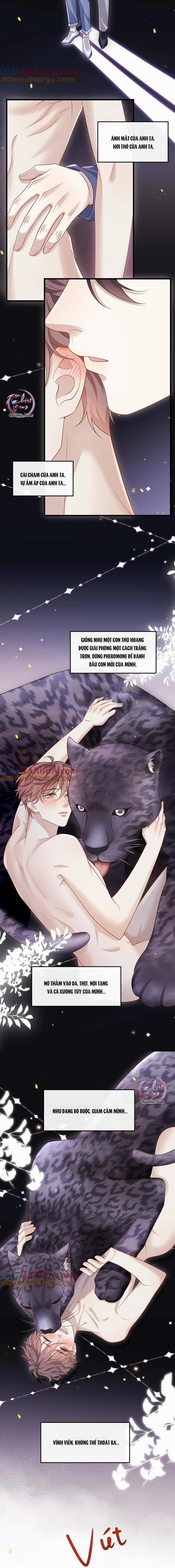 Người Đó Đến Từ Đêm Tối 24 trang 5