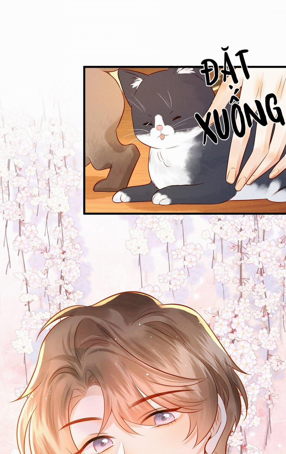 Người giám hộ của tôi 2 trang 11