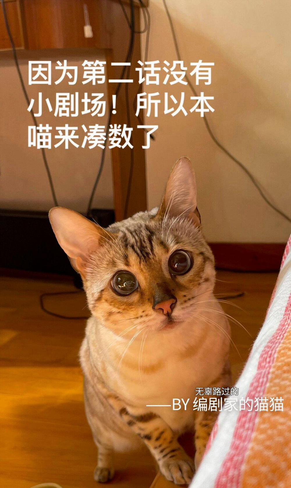 Người giám hộ của tôi 2 trang 31