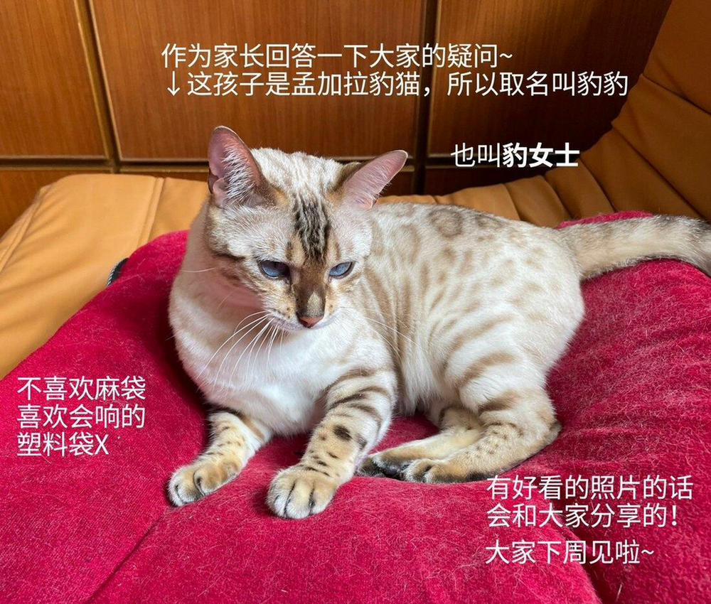 Người giám hộ của tôi 3 trang 42