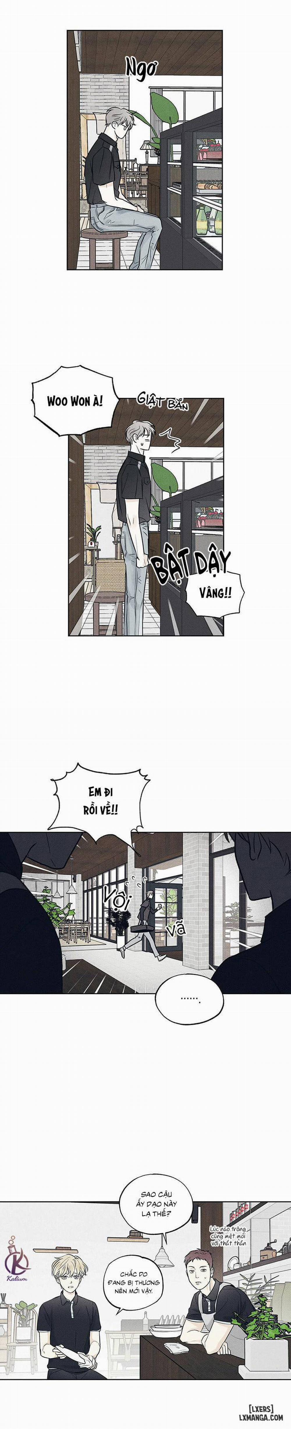 Người giao Pizza và Gold Palace 12 trang 13