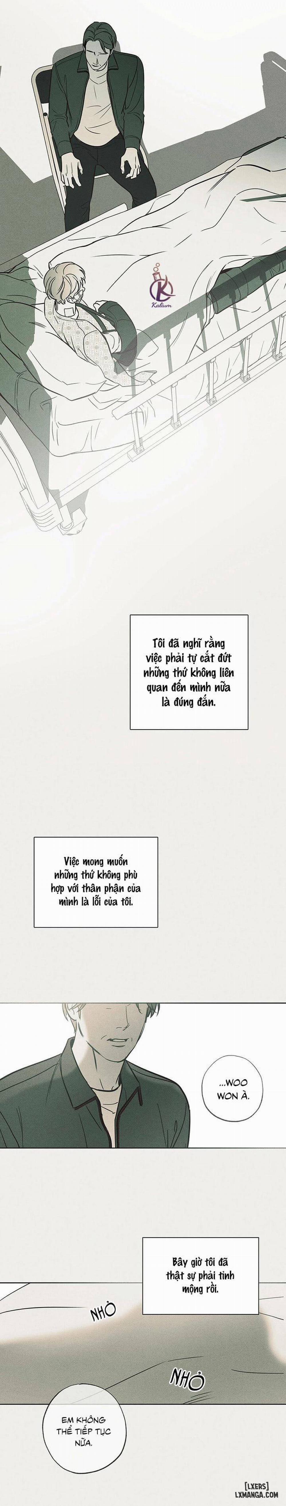 Người giao Pizza và Gold Palace 16 trang 7