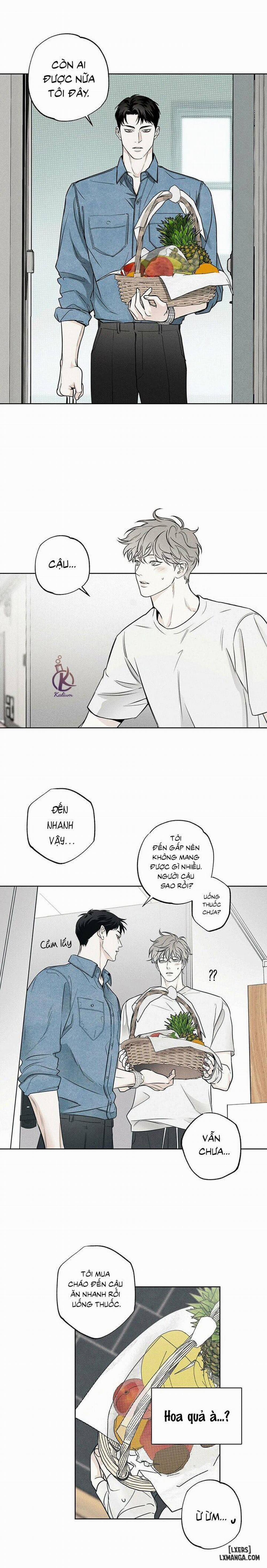 Người giao Pizza và Gold Palace 17 trang 13