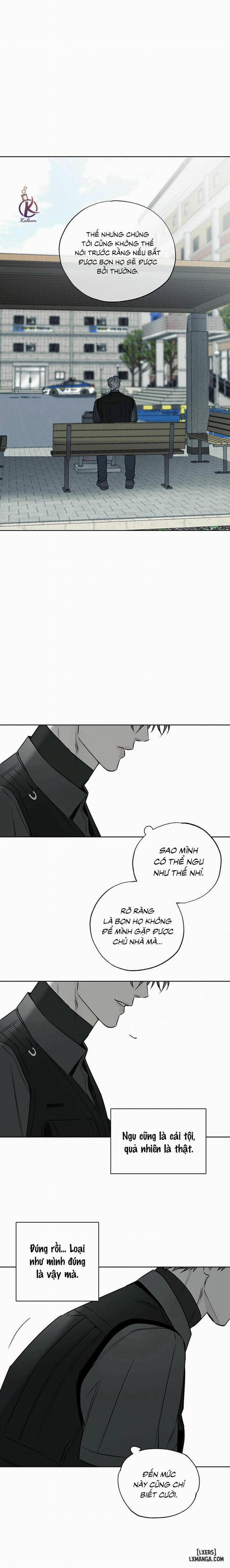 Người giao Pizza và Gold Palace 20 trang 14