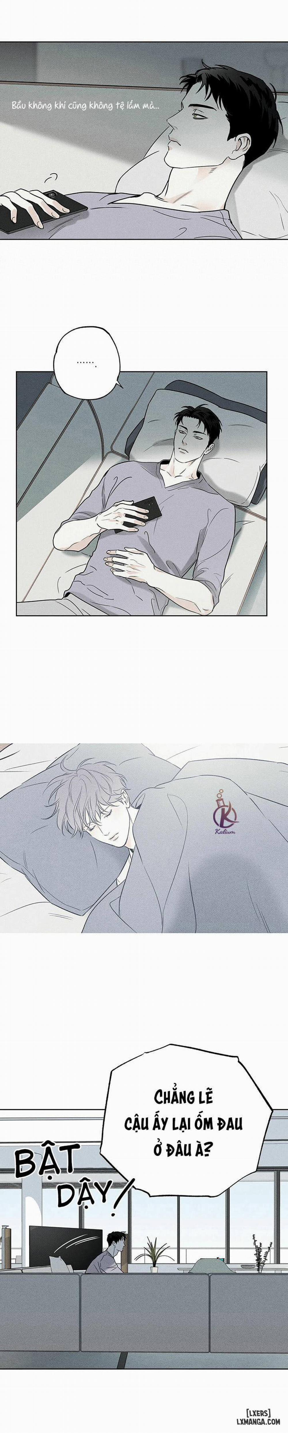 Người giao Pizza và Gold Palace 21 trang 6