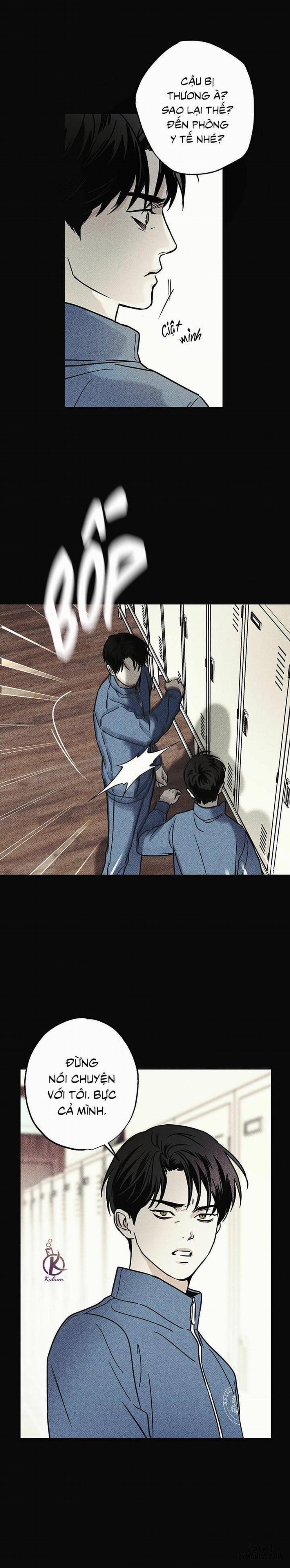 Người giao Pizza và Gold Palace 26 trang 4