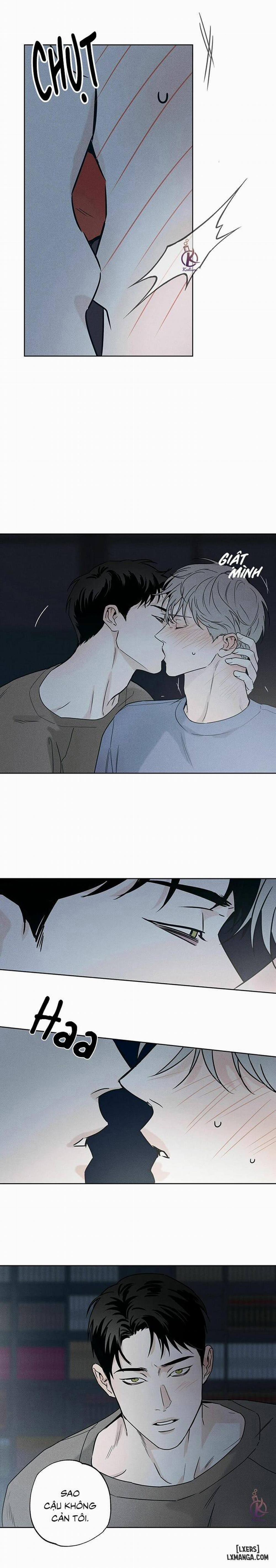 Người giao Pizza và Gold Palace 29 trang 11