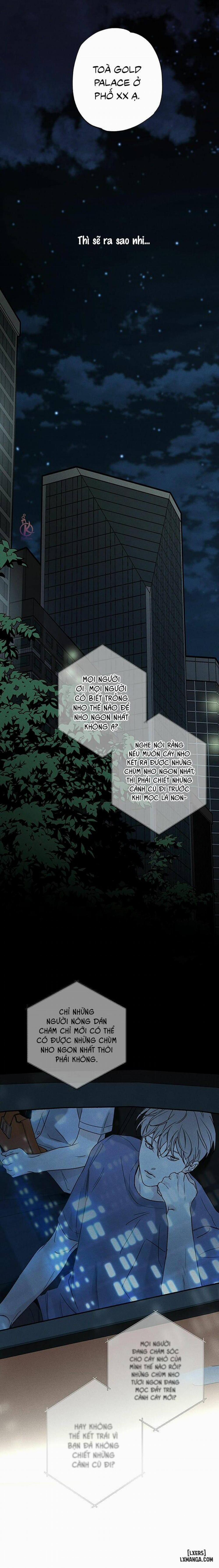 Người giao Pizza và Gold Palace 30 trang 3