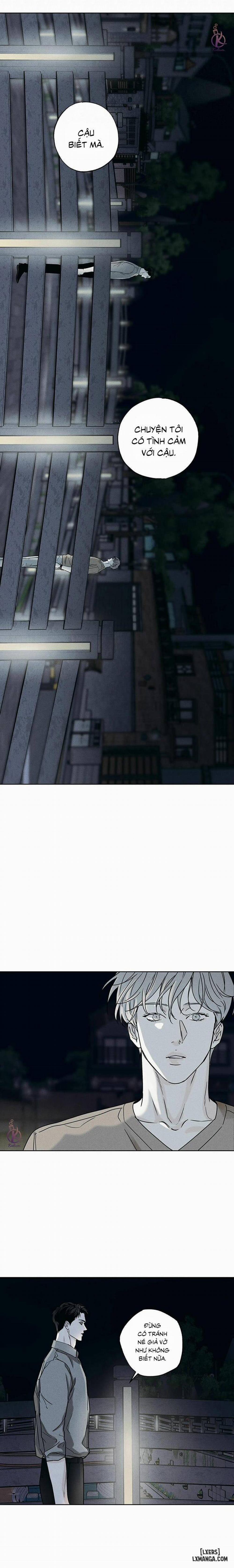 Người giao Pizza và Gold Palace 31 trang 15