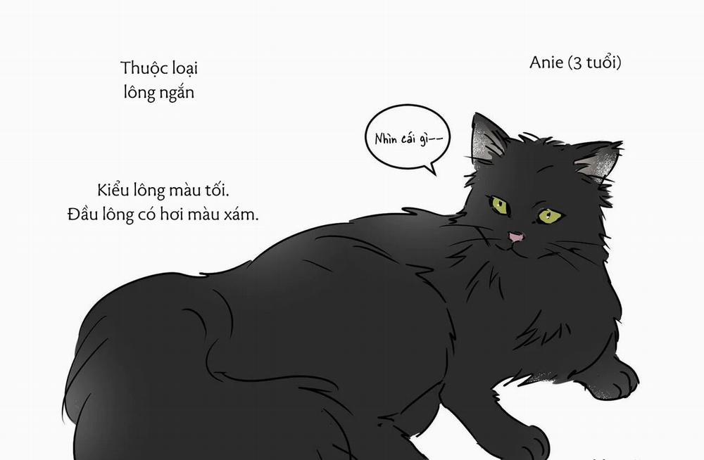 Người giao Pizza và Gold Palace 32.5 trang 38