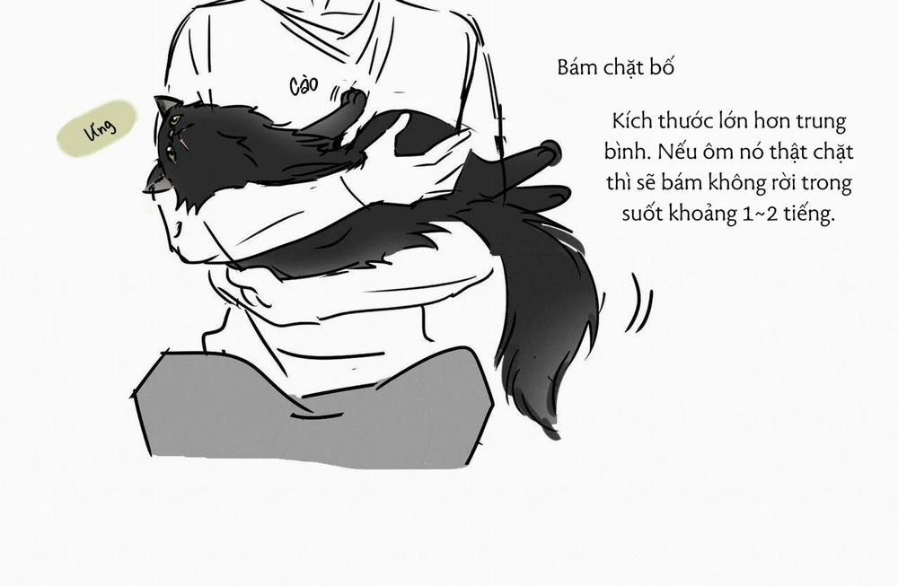 Người giao Pizza và Gold Palace 32.5 trang 41