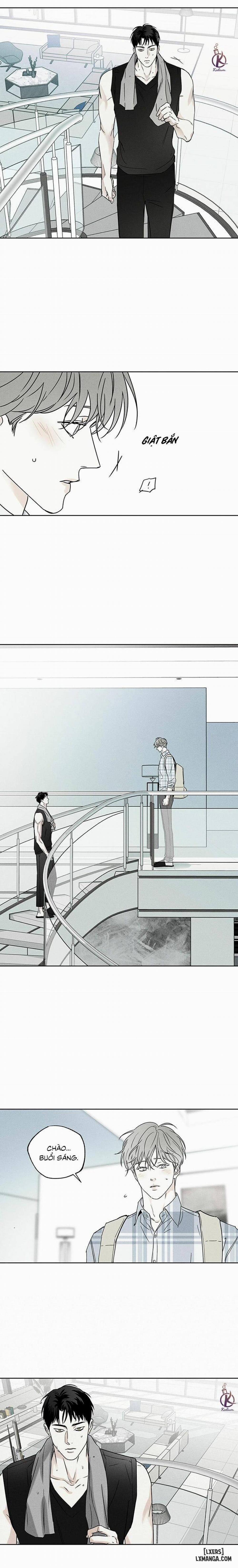 Người giao Pizza và Gold Palace 32 trang 4