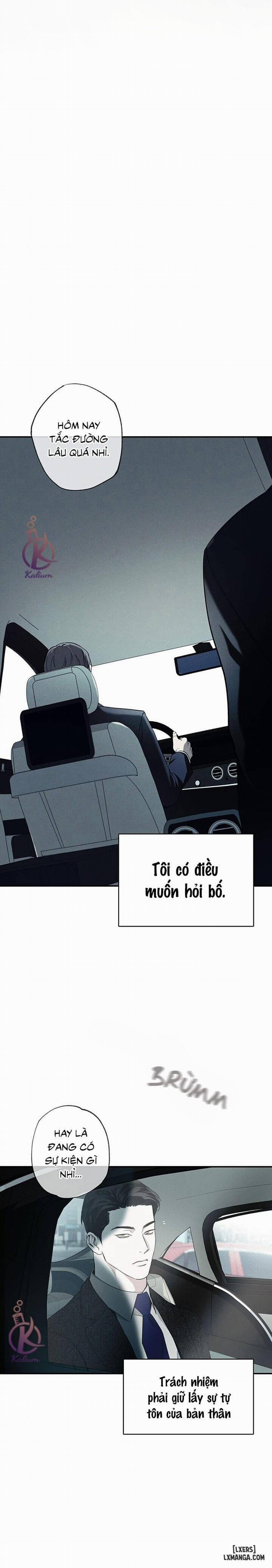 Người giao Pizza và Gold Palace 39 trang 14