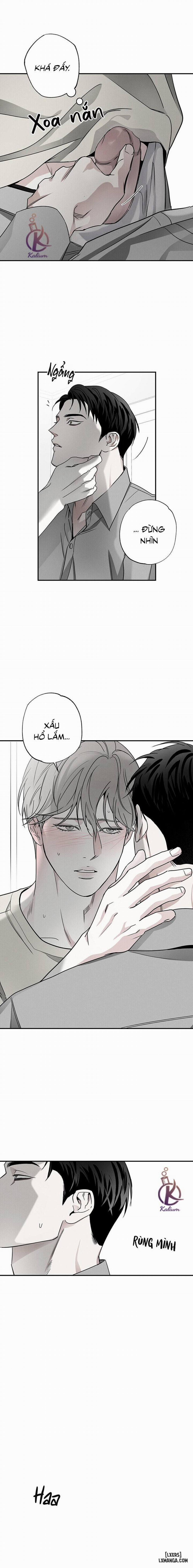 Người giao Pizza và Gold Palace 40 (uncen) trang 8