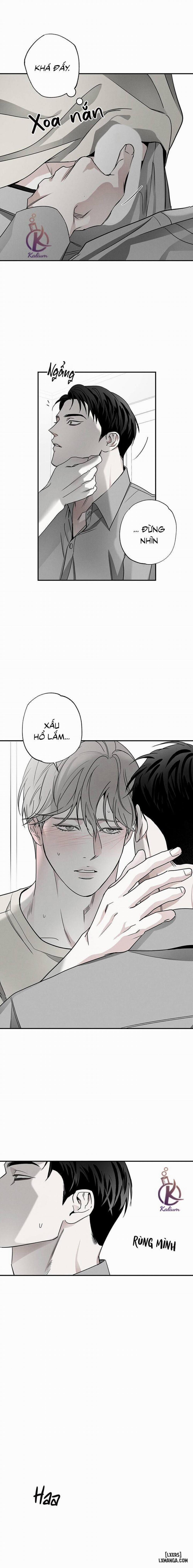 Người giao Pizza và Gold Palace 40 trang 8