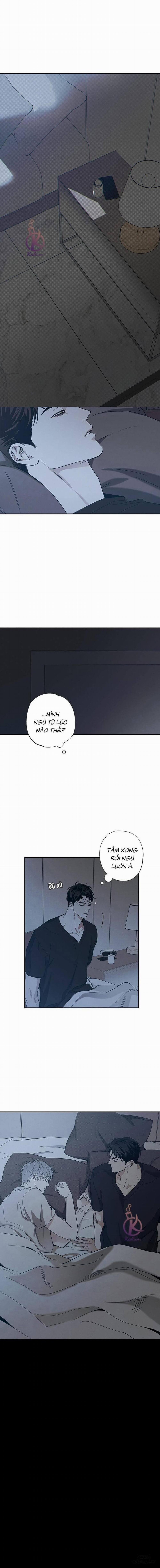 Người giao Pizza và Gold Palace 41 trang 0