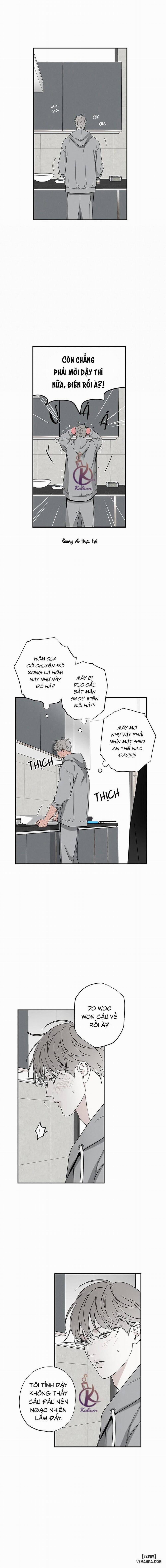 Người giao Pizza và Gold Palace 41 trang 8