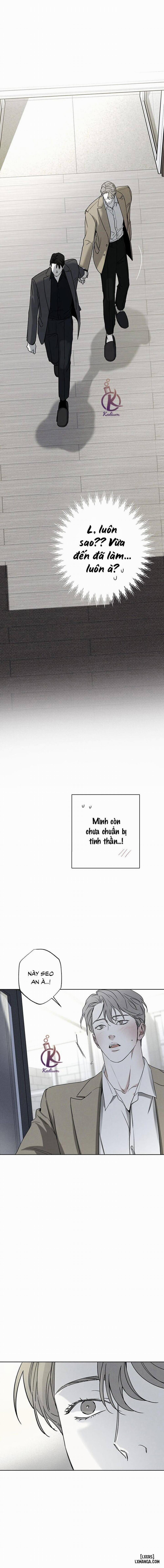 Người giao Pizza và Gold Palace 43 trang 11