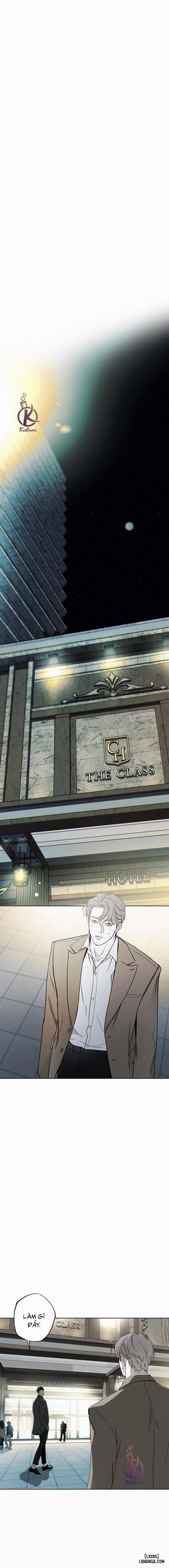 Người giao Pizza và Gold Palace 43 trang 8