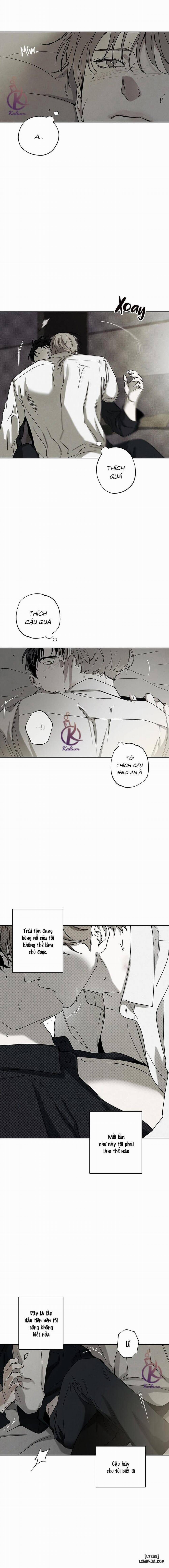 Người giao Pizza và Gold Palace 44 trang 12