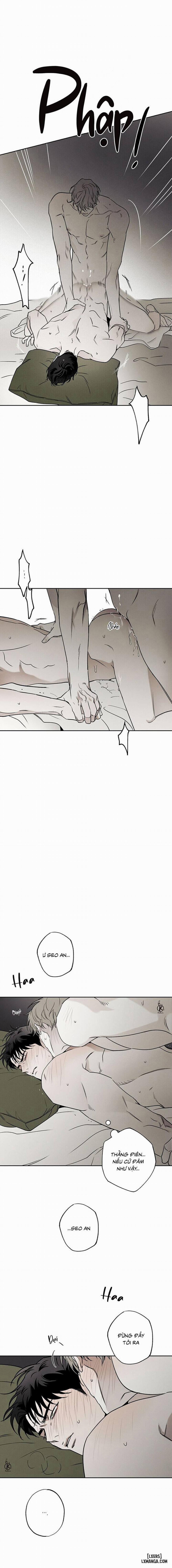 Người giao Pizza và Gold Palace 46 trang 12