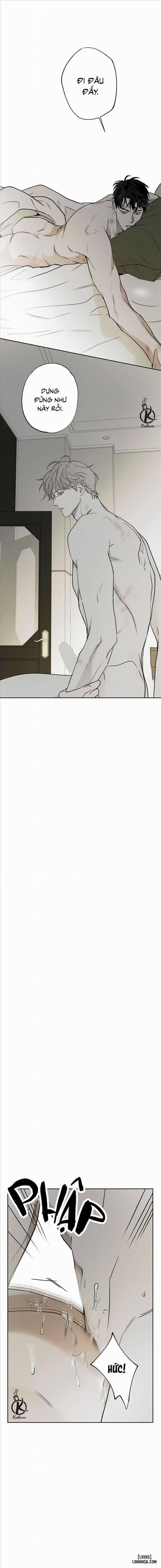 Người giao Pizza và Gold Palace 48 trang 0