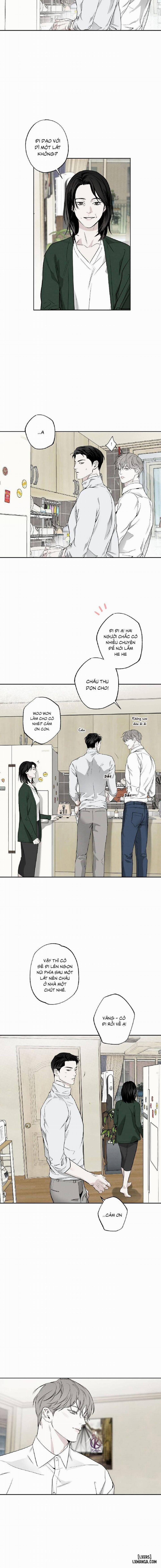 Người giao Pizza và Gold Palace 49 trang 12