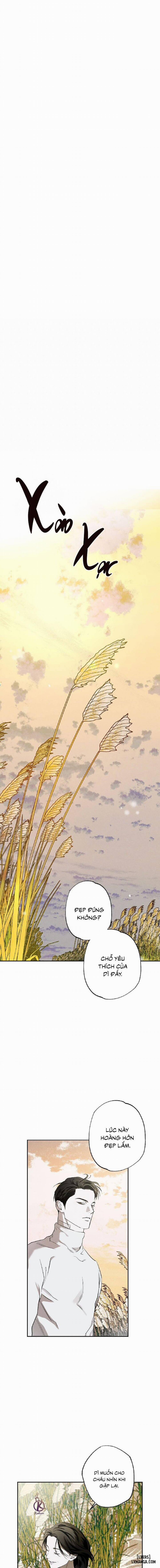 Người giao Pizza và Gold Palace 49 trang 13