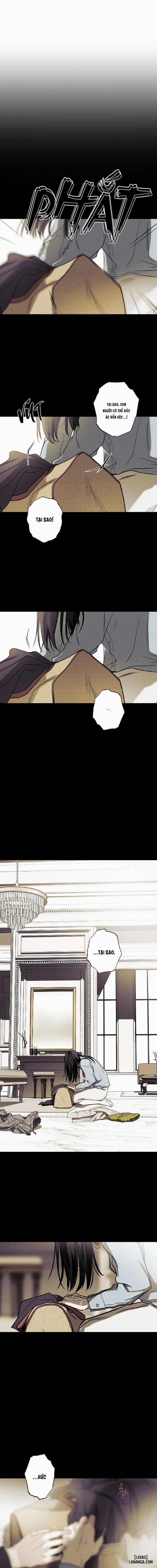 Người giao Pizza và Gold Palace 49 trang 8