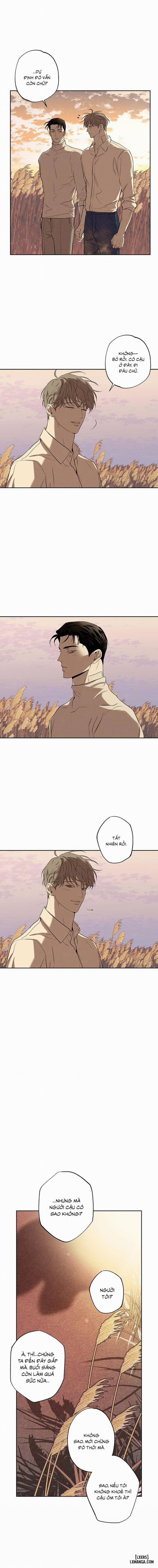 Người giao Pizza và Gold Palace 50 trang 12