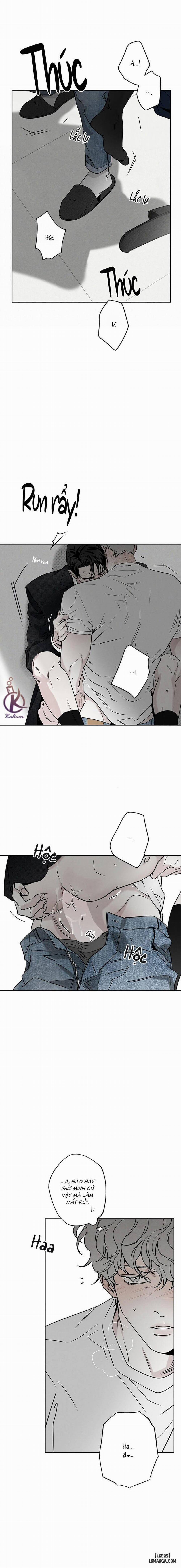 Người giao Pizza và Gold Palace 53 trang 14