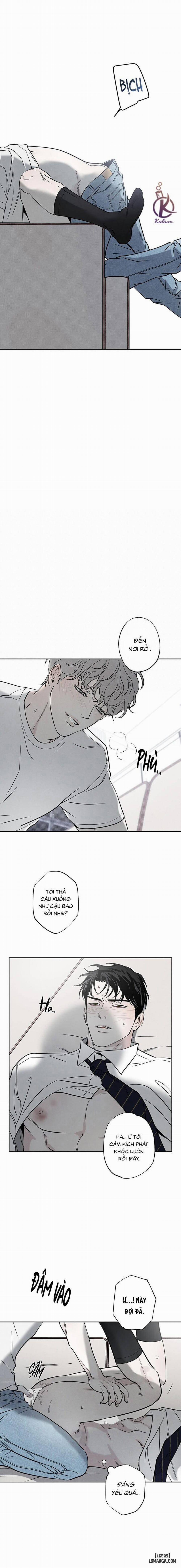 Người giao Pizza và Gold Palace 54 trang 5