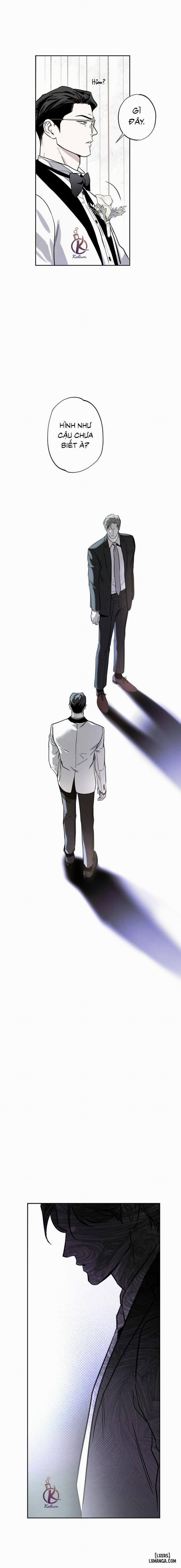 Người giao Pizza và Gold Palace 55 trang 10