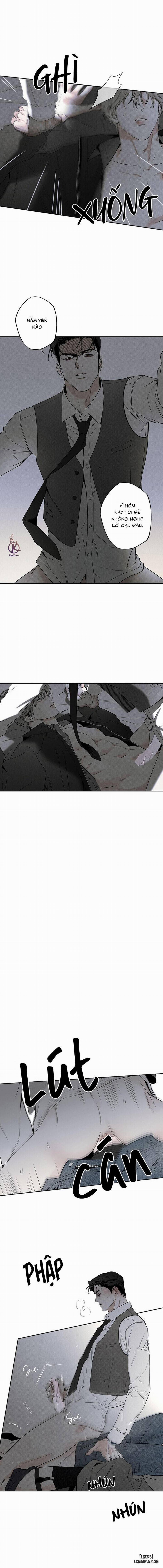 Người giao Pizza và Gold Palace 60 trang 8