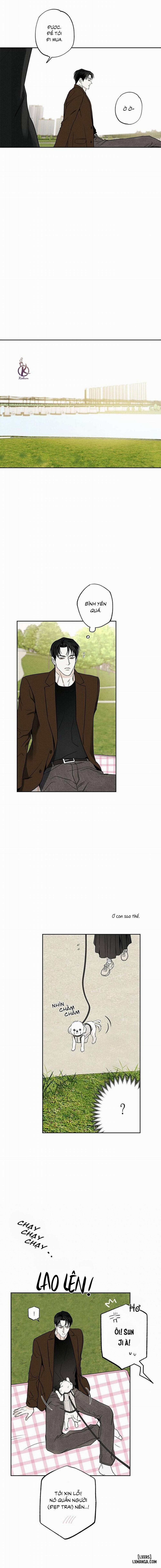 Người giao Pizza và Gold Palace 62 trang 8