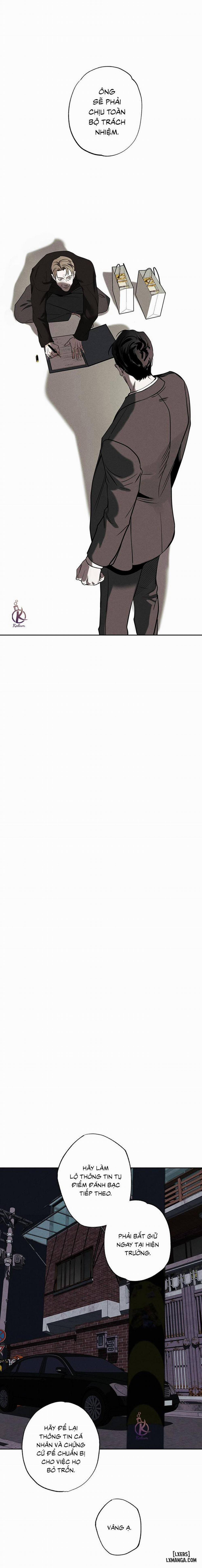 Người giao Pizza và Gold Palace 65 trang 13