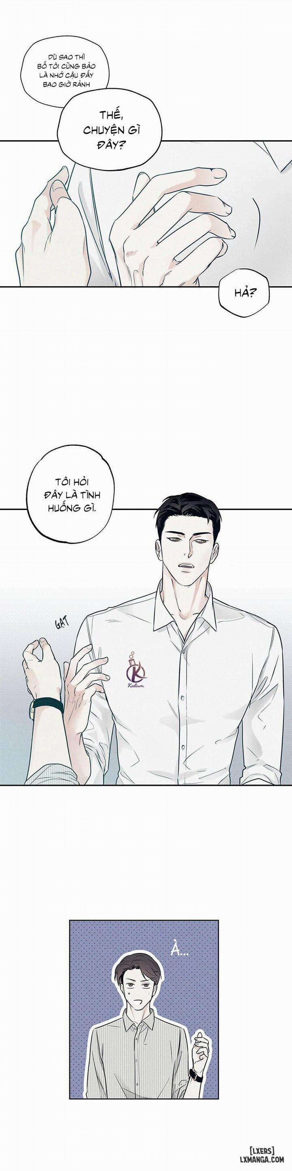 Người giao Pizza và Gold Palace 7 trang 9