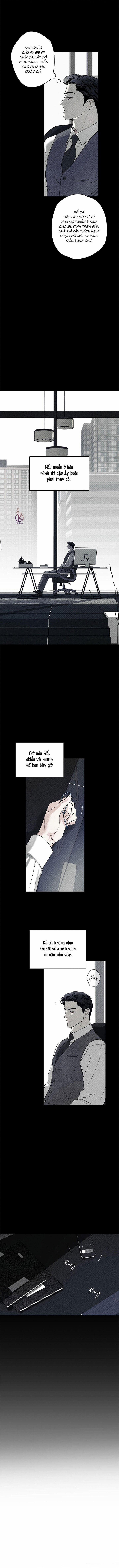 Người giao Pizza và Gold Palace 70 trang 4