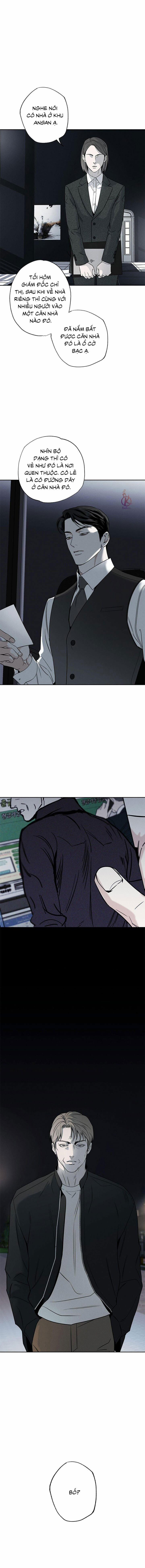 Người giao Pizza và Gold Palace 75 trang 4