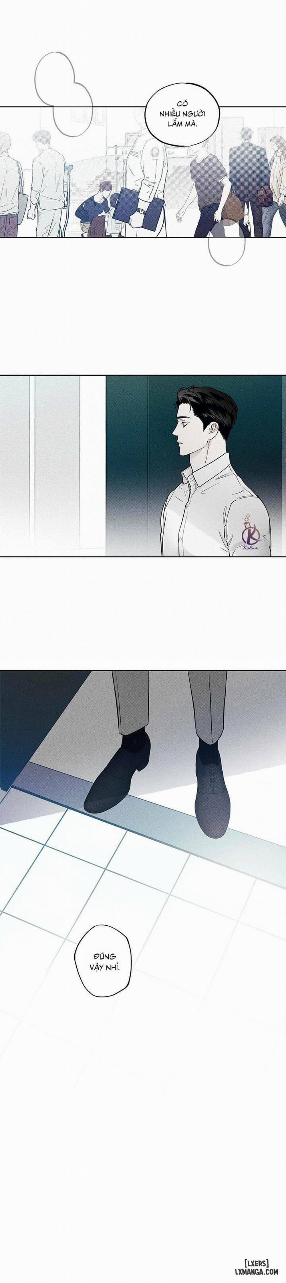 Người giao Pizza và Gold Palace 8 trang 3