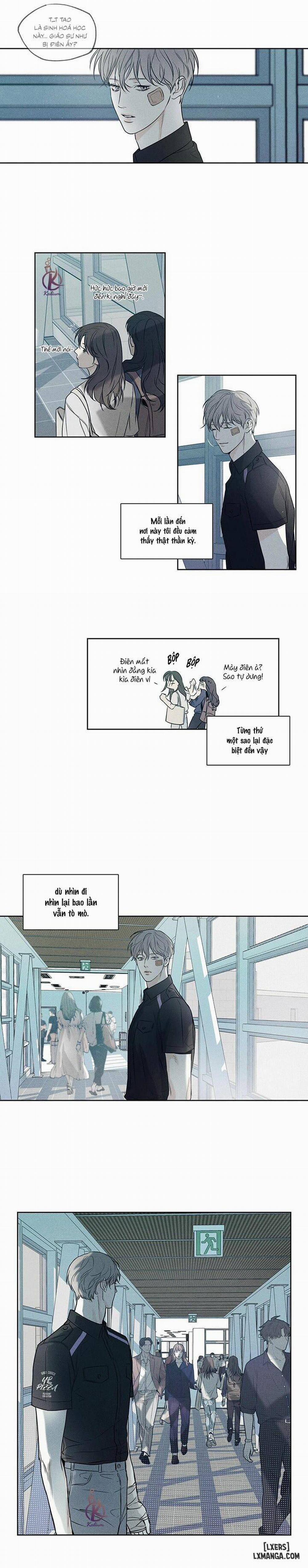 Người giao Pizza và Gold Palace 9 trang 15