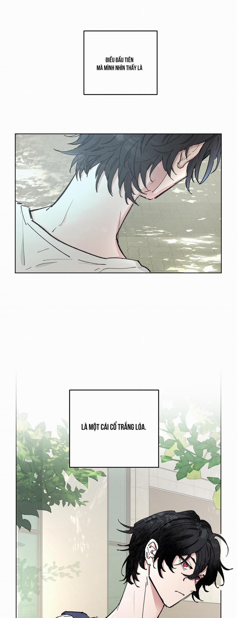 Người Hướng Dẫn Giải Quyết Vấn đề 1 trang 0