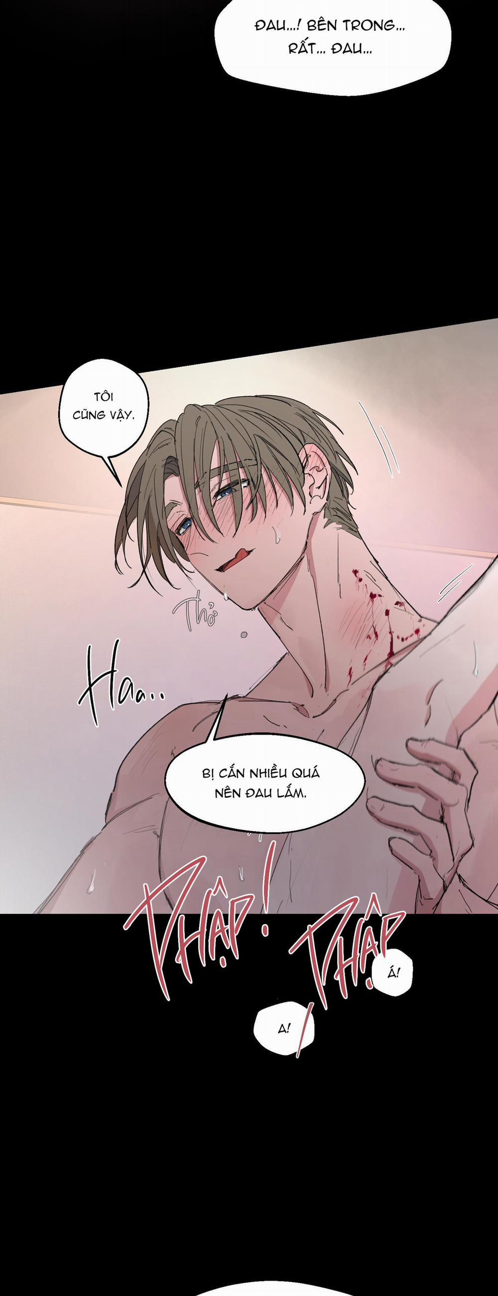 Người Hướng Dẫn Giải Quyết Vấn đề 1 trang 40